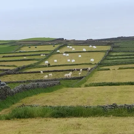 Casa Da Tia Avelina Angra do Heroísmo