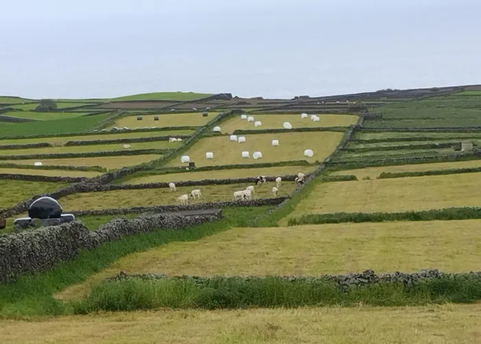 Casa Da Tia Avelina Angra do Heroísmo