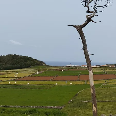 Casa Da Tia Avelina Dom wakacyjny